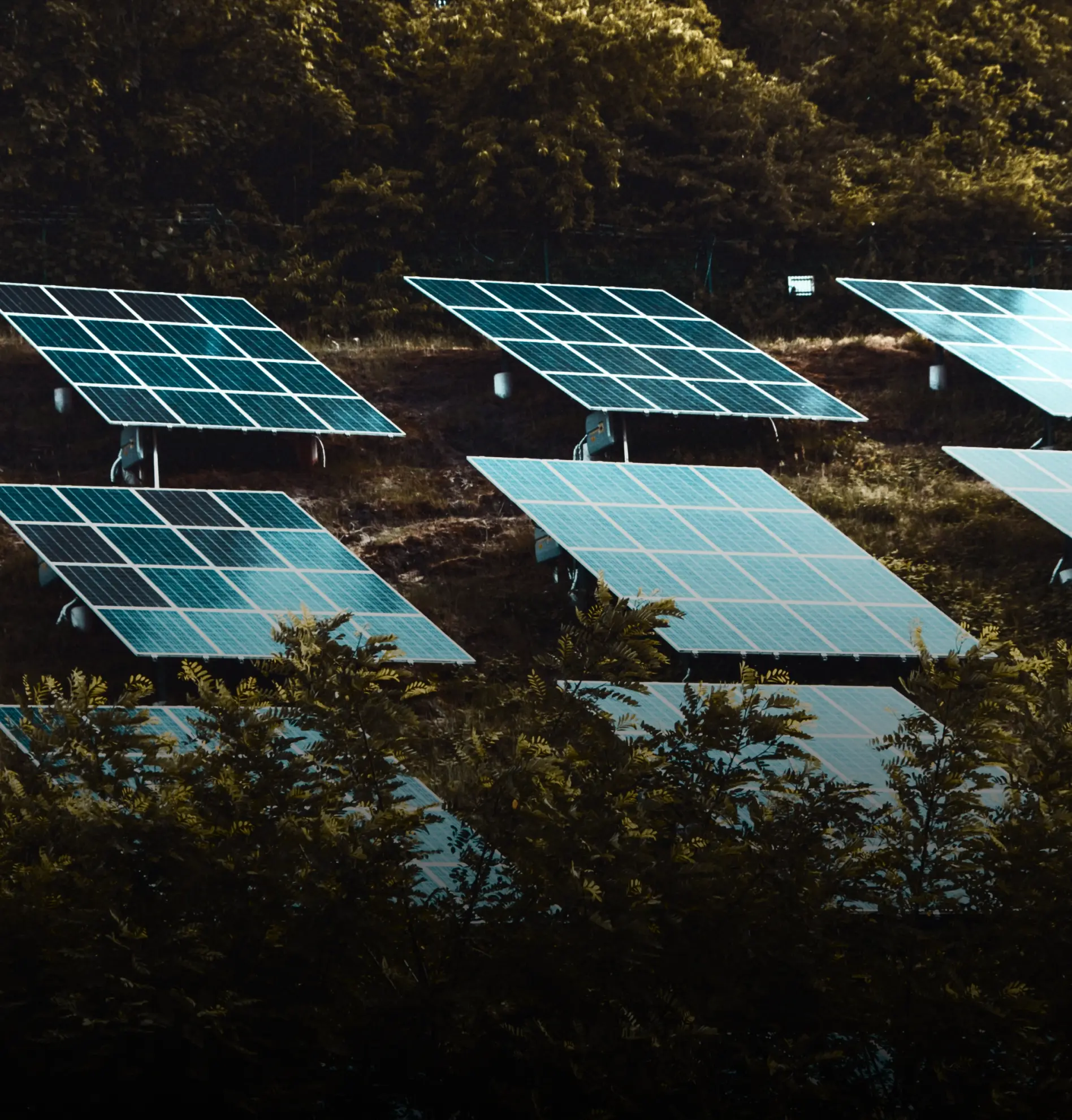 Solar panels on a rooftop